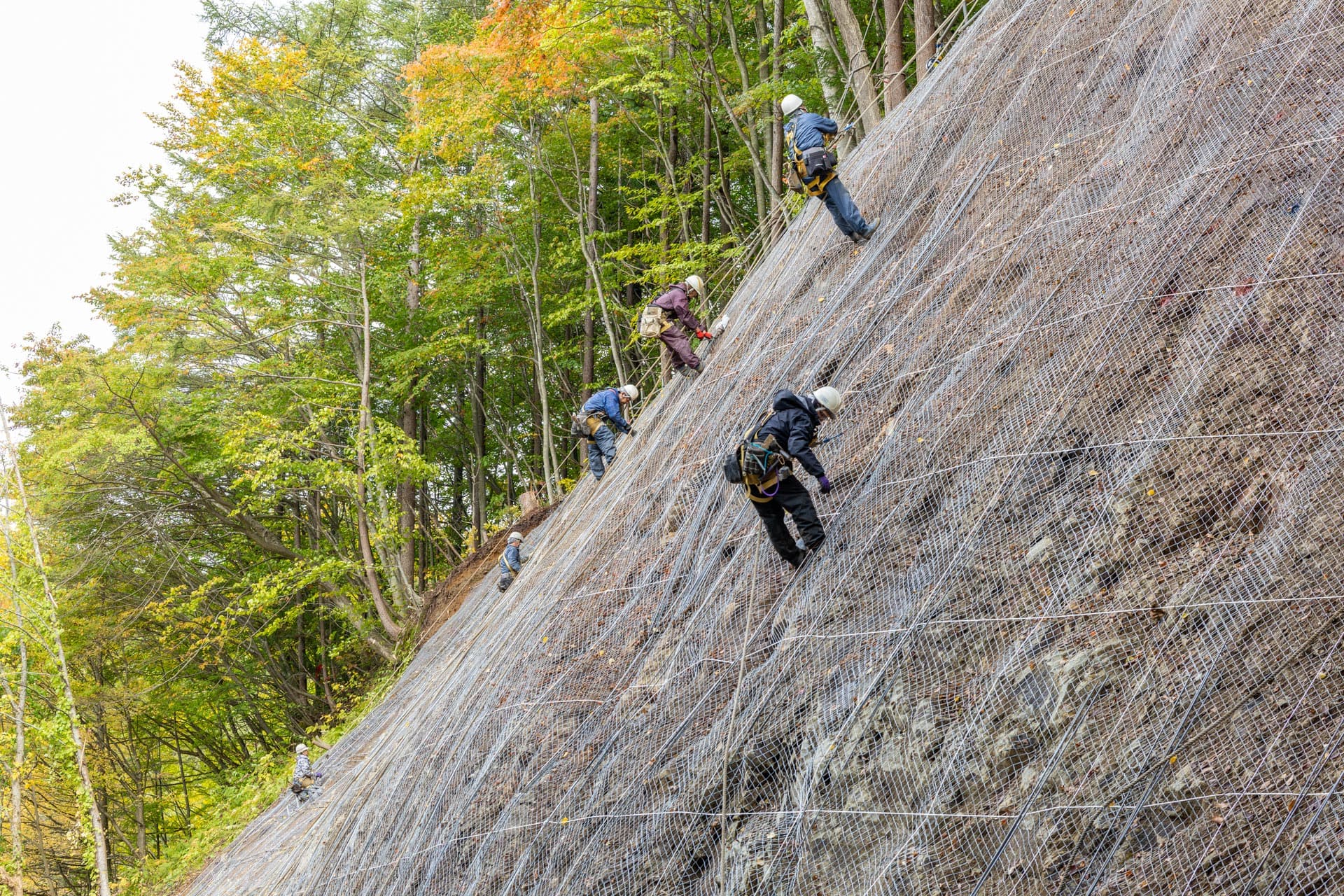 山田組の「山を守る」3つの強み